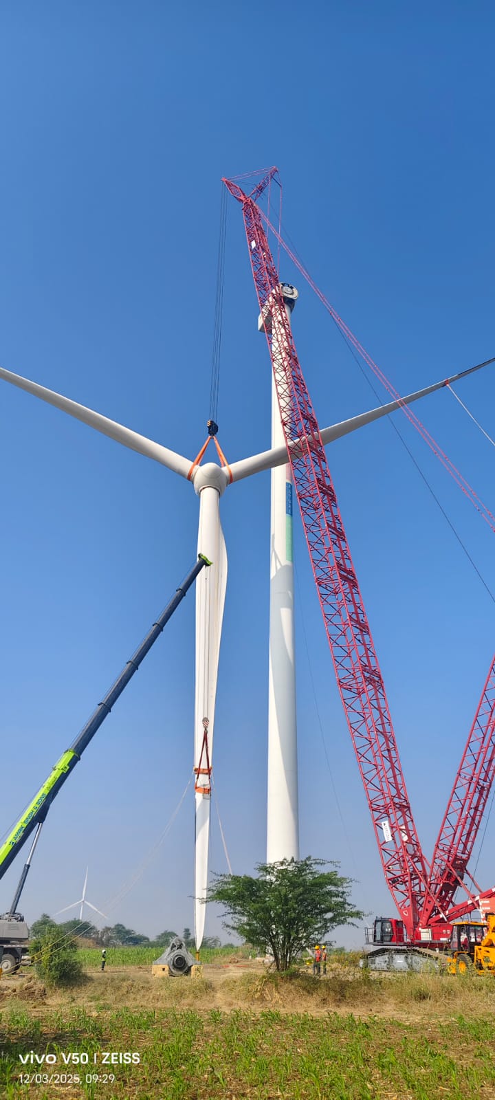Multiple wind turbines in a dry field